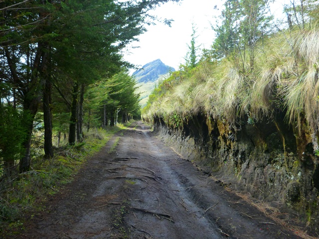 Hike to Pasochoa volcano (4,199 m), Ecuador