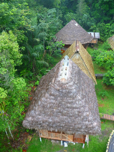 Riverside eco-lodge cabin nestled in Cuyabeno rainforest