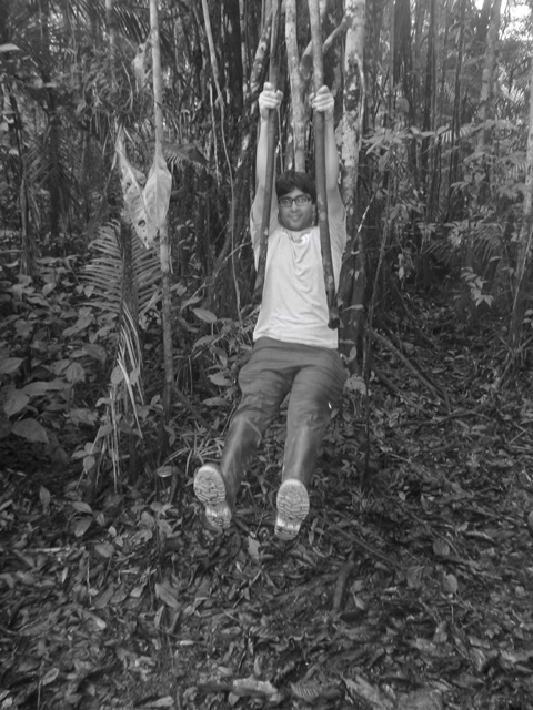 Swinging through rainforest vines