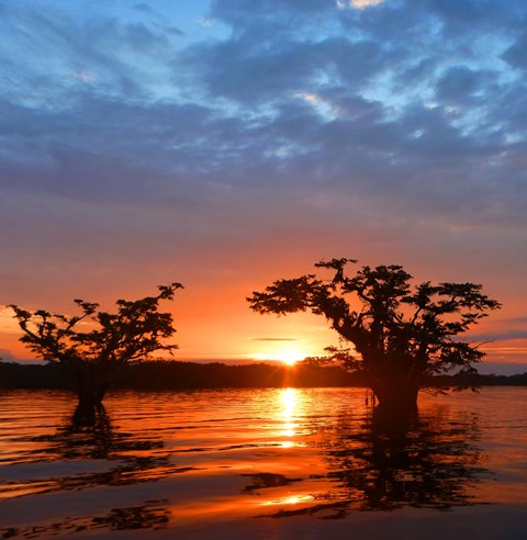 Sunset over Cuyabeno Lake, Amazonas