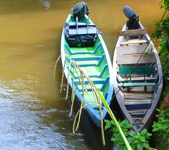 Riverboat entering Cuyabeno wildlife reserve