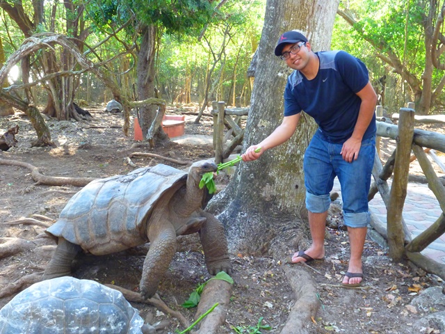 Giant tortoise at Prison Island Zanzibar
