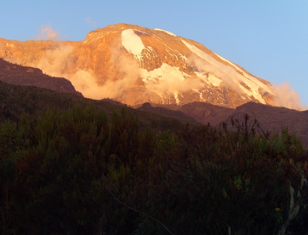 First glimpse of Kilimanjaro peak through the forest.