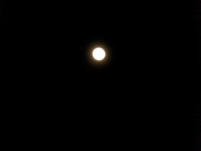 2 AM moonlit trail start